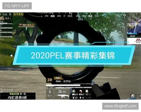 和平精英专题深入解析RNG战队的游戏节奏与战术策略