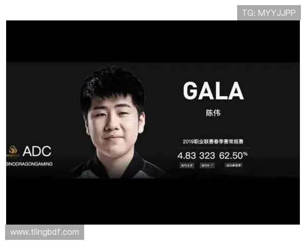 对话陈伟:回顾王者荣耀职业生涯的辉煌与挑战