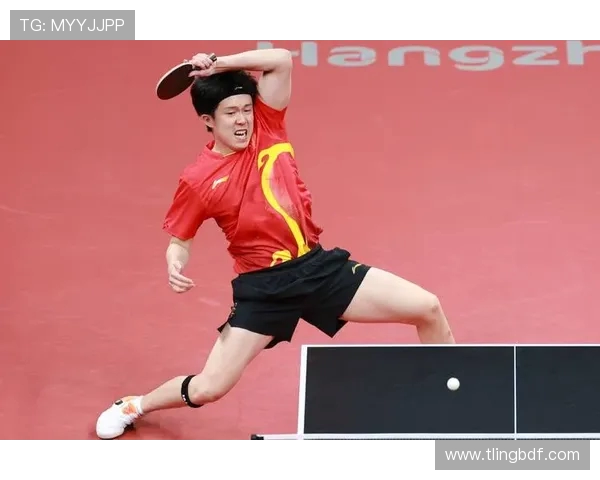 杭州乒乓球队夺冠之路揭秘最新乒乓球意识TOP10分析