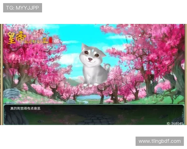 深度对话：周芳如何在王者荣耀中找到自我与成长的旅程