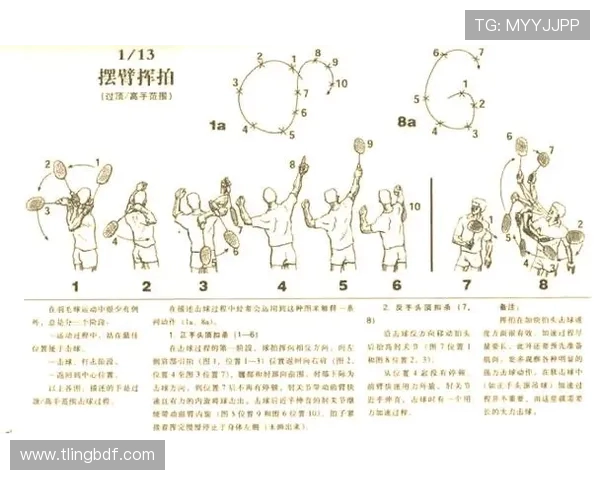 羽毛球战术解析：深入探讨北京羽毛球队的反击体系与战术运用