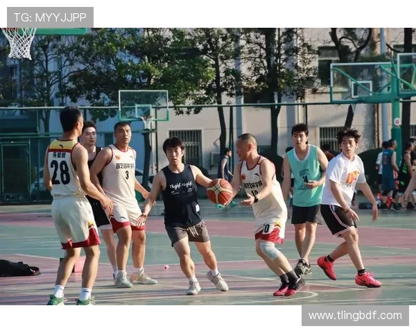 聚焦杭州篮球队个人能力提升与团队协作的完美结合