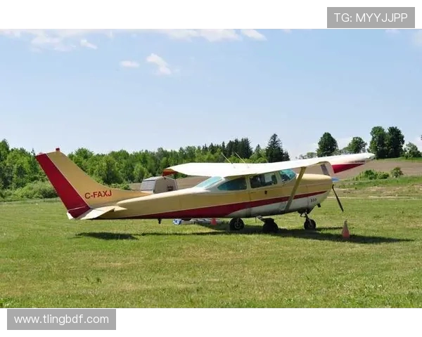 赛后复盘：武汉极限运动队vs杭州极限运动队的灵活性