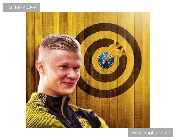 哈兰德:从天才少年到足坛巨星的辉煌之路与未来展望