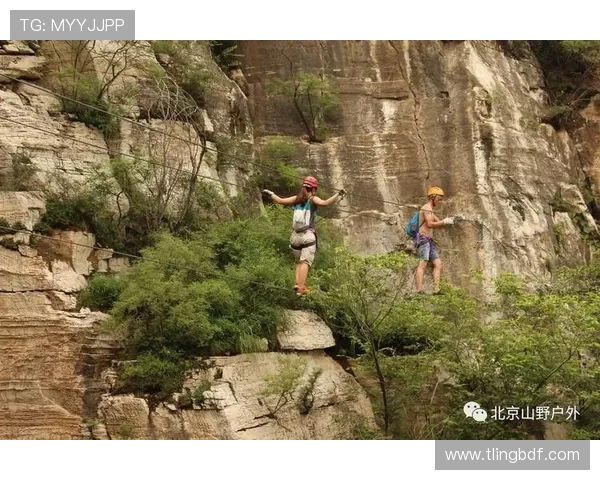 陈伟谈攀岩之路：从初学者到顶尖选手的心路历程与成长故事