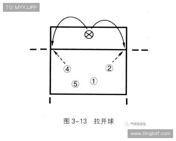 上海乒乓球队快攻战术揭秘与深度分析探讨 上海乒乓球队快攻战术揭秘与深度分析探讨